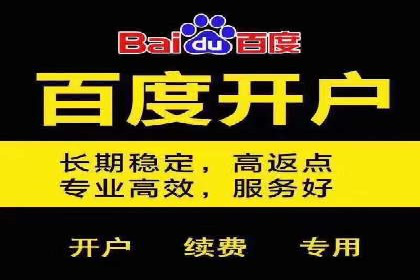 如何利用百度竞价代理：真实案例分析